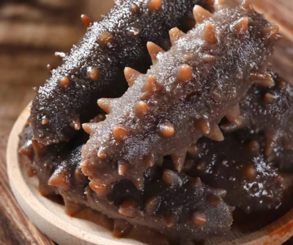 海參為什么是海底的軟黃金？