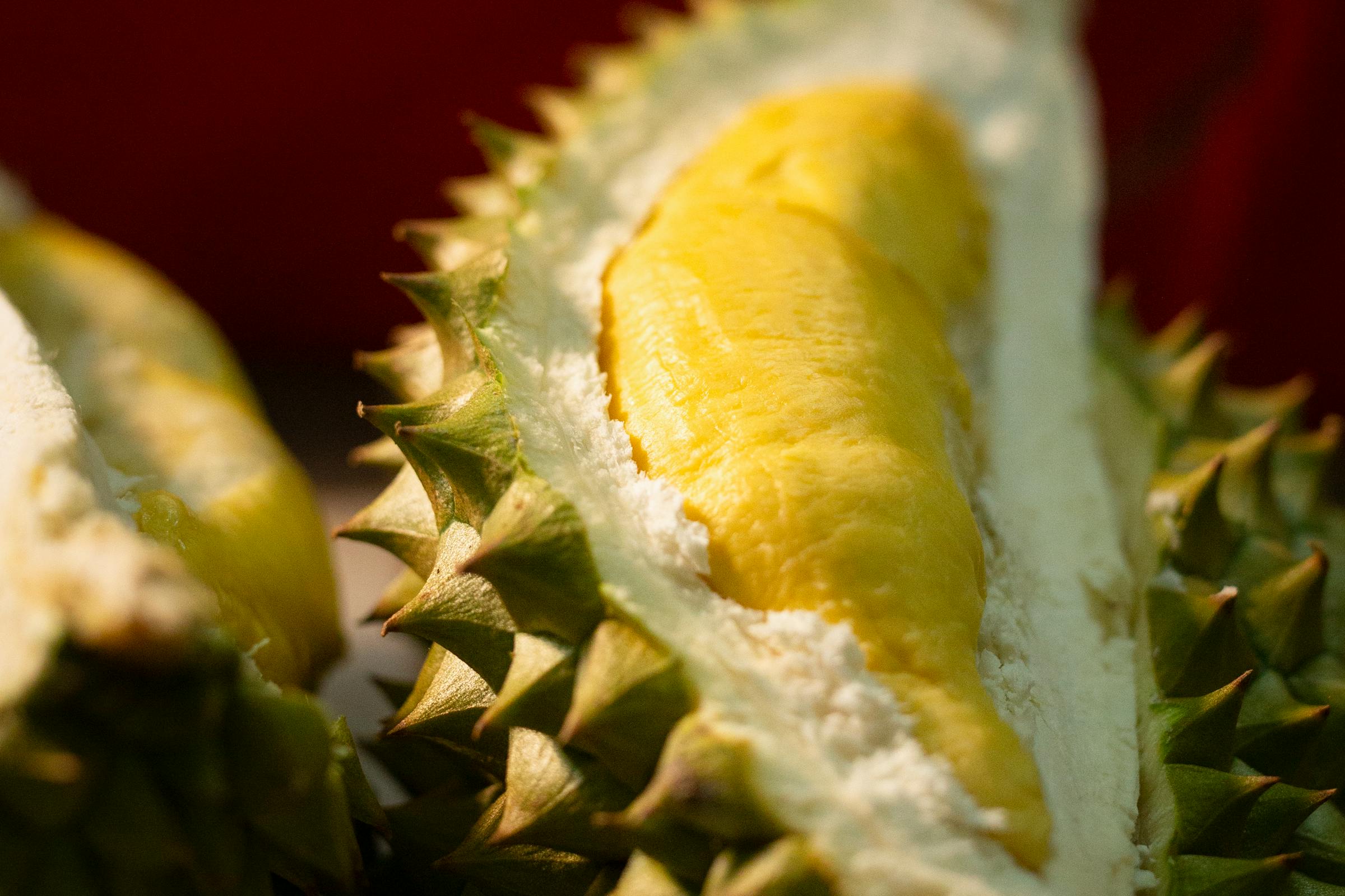 1774154065641524.jpg pexels-hson-4487992.jpg