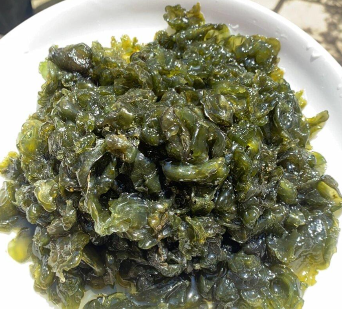 地皮菜：雨后才有的特產(chǎn)，吃的是山野的饋贈(zèng)